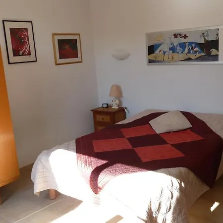 300m Centre De St Florent T3 Piscine Jardin Wifi Holiday home